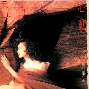 老阿姨泻火泄火
