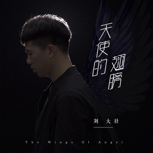 老阿姨泻火泄火
