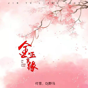 老阿姨泻火泄火
