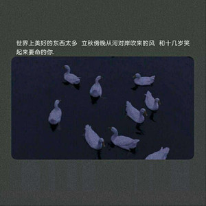 老阿姨泻火泄火
