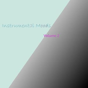 老阿姨泻火泄火
