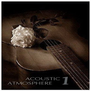 老阿姨泻火泄火
