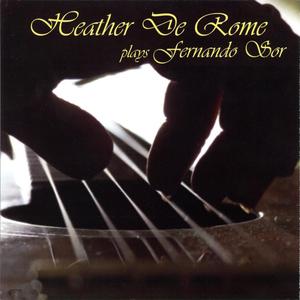 老阿姨泻火泄火
